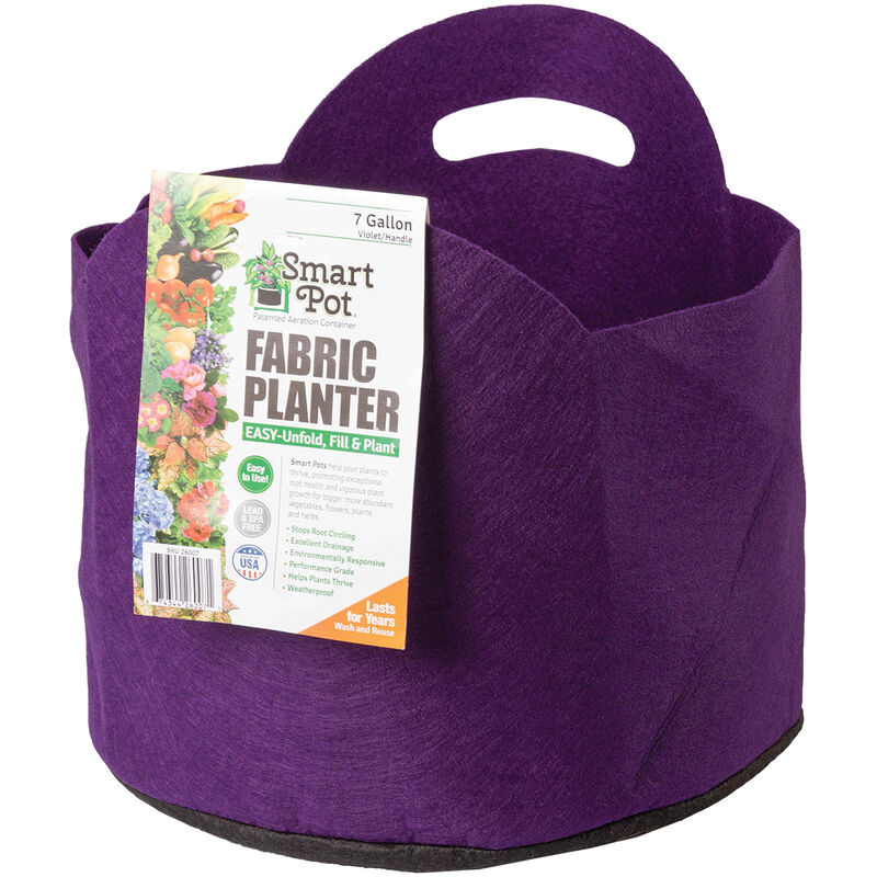 Smart Pot® Vivid Color, Violet – 7 Gal. Grow Bags