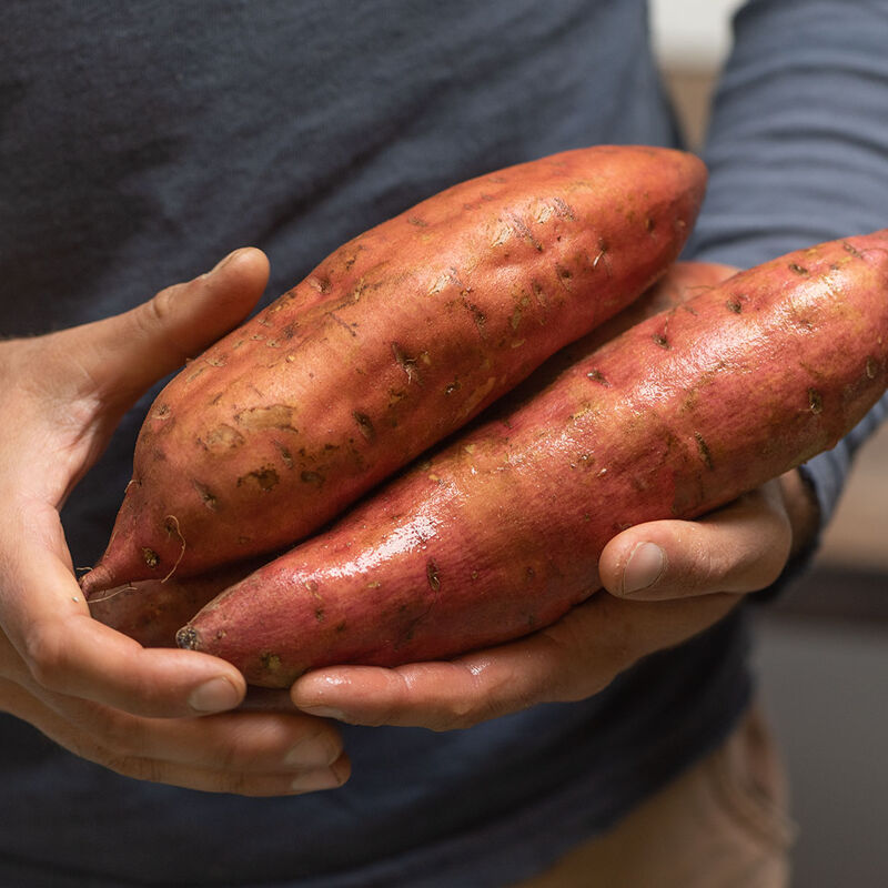 Covington Sweet Potatoes