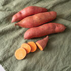 Covington Sweet Potatoes