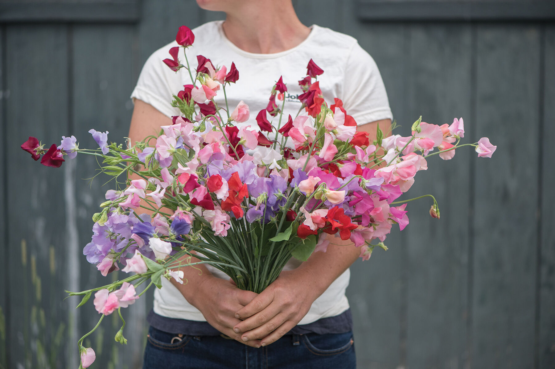 Elegance Formula Mix Sweet Peas
