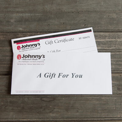 Gift Certificate – $25.00 Gift Certificate – $25.00 Gift Certificates