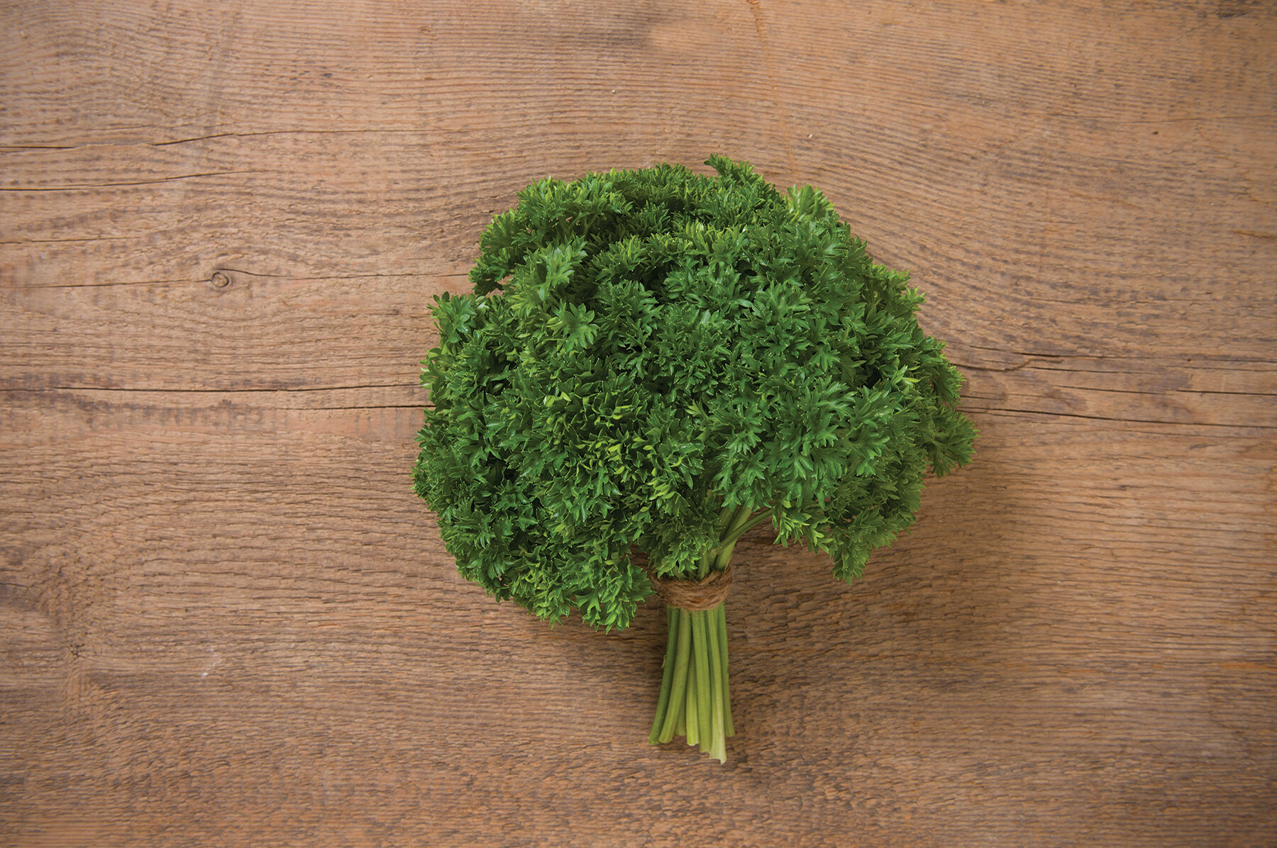 Darki Green Leaf Parsley