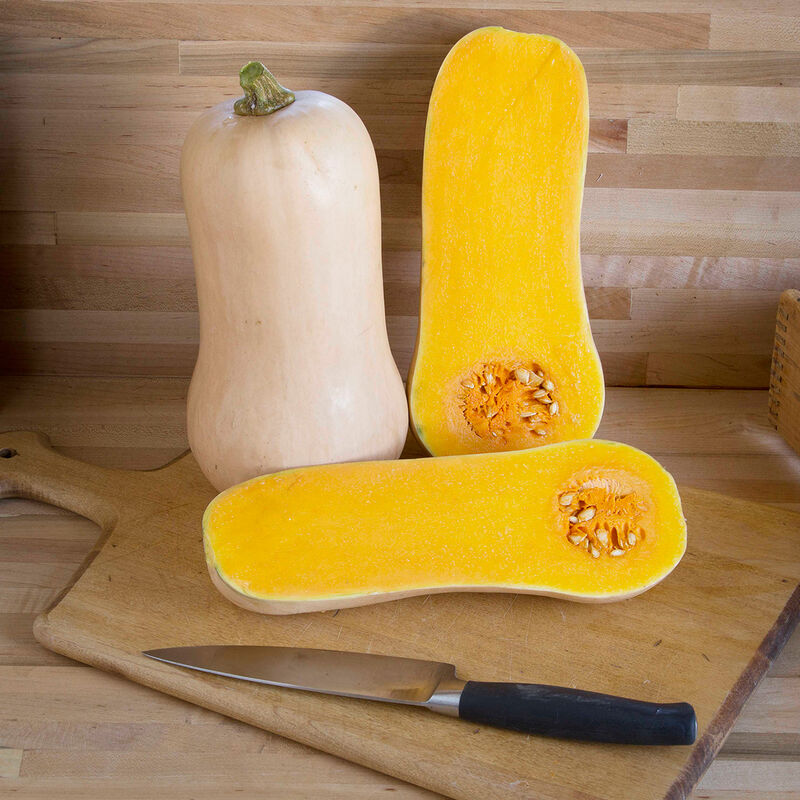 Waldo PMR Waldo PMR Winter Squash