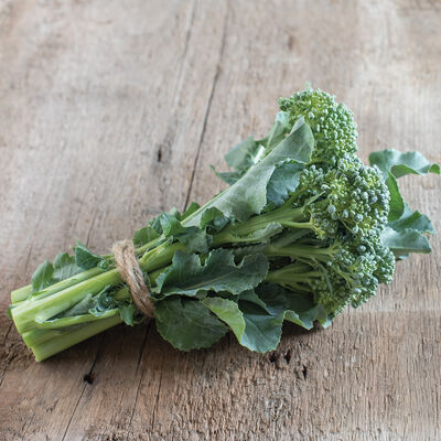 De Cicco De Cicco Mini Broccoli