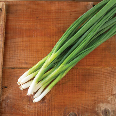 Marksman Bunching Onions