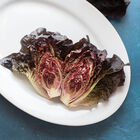 Volcana Bibb Lettuce