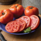 Grand Marshall Beefsteak Tomatoes