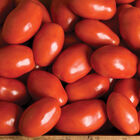 Paisano Paste Tomatoes