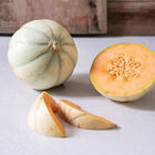 Savor French Melons (Charentais)