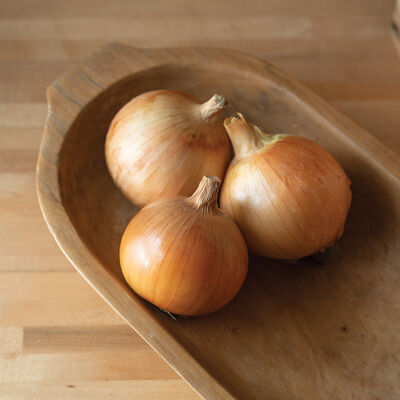Powell Full-Size Onions