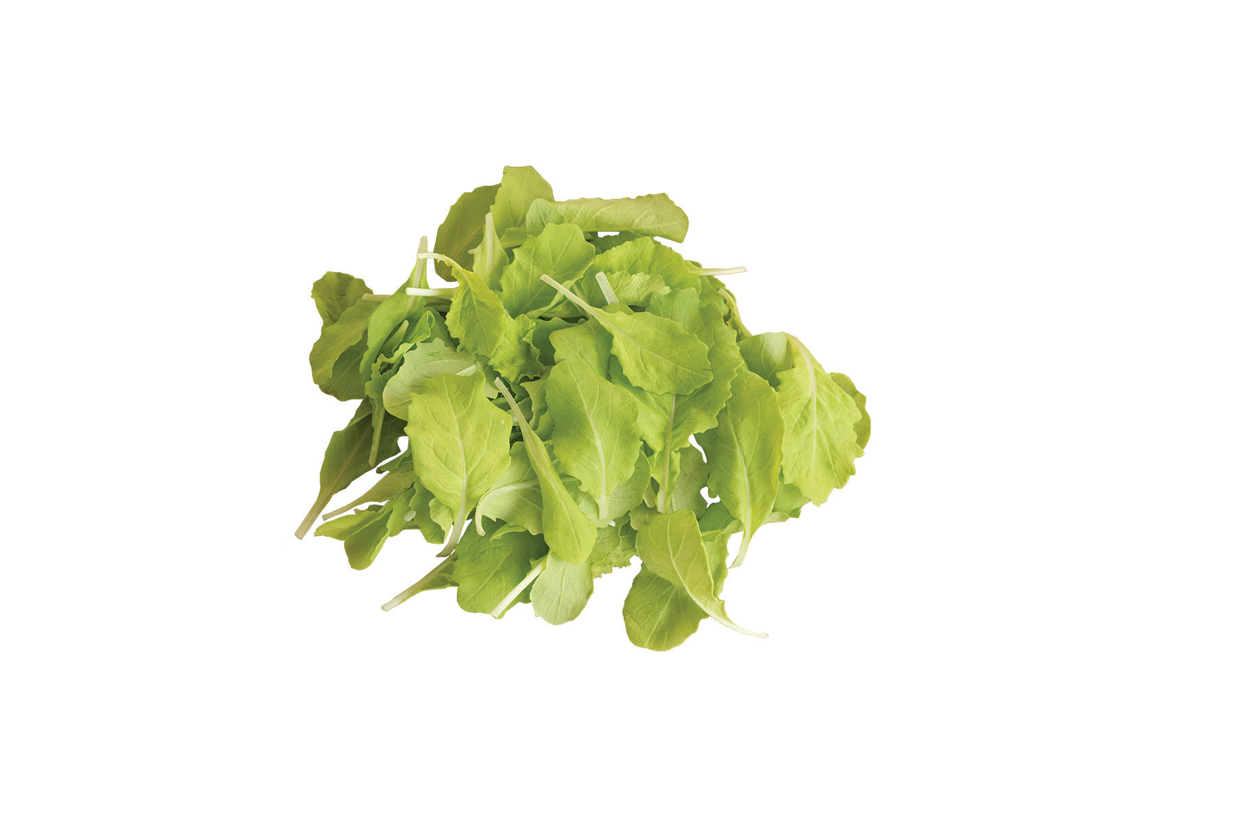 菜花ページ Tokyo Bekana - (F1) Asian Green Seed | Johnny's Selected Seeds