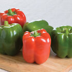 Olympus Sweet Bell Peppers
