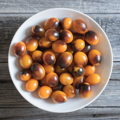 Indigo Kumquat Indigo Kumquat Specialty Tomatoes