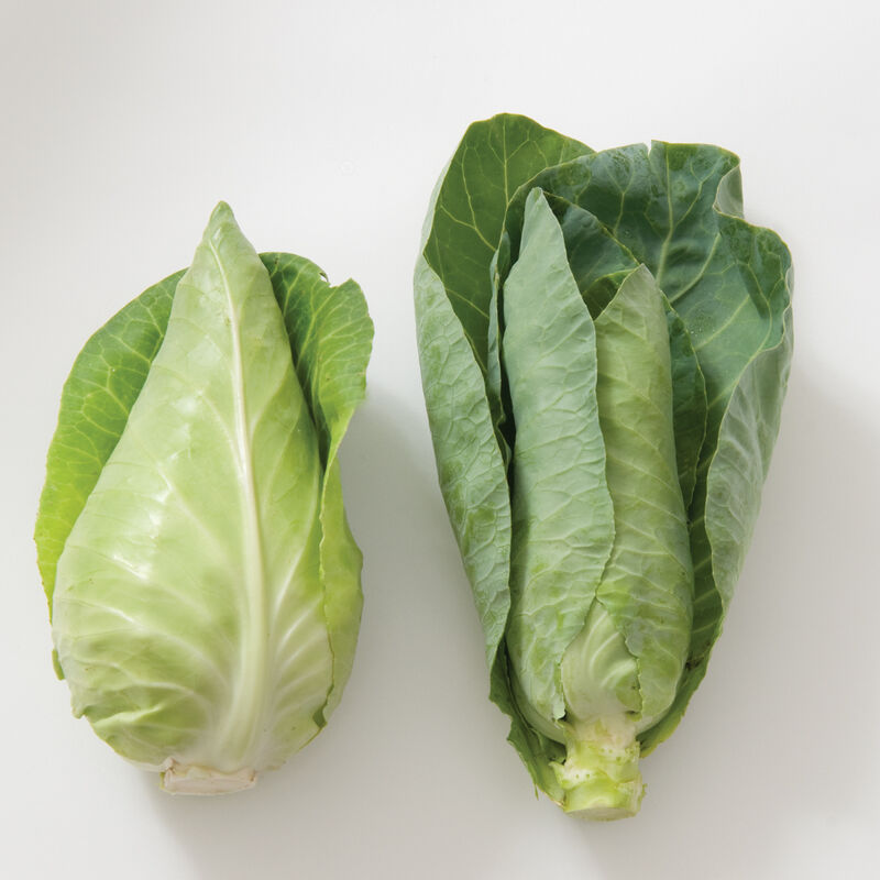 Caraflex Fresh Market Cabbage