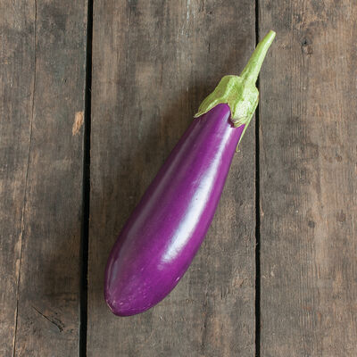 Dancer Italian Eggplants