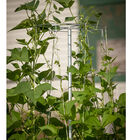 Bean Tower – 60" Cages & Fences