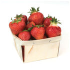Dickens Strawberry Bare-Root Plants