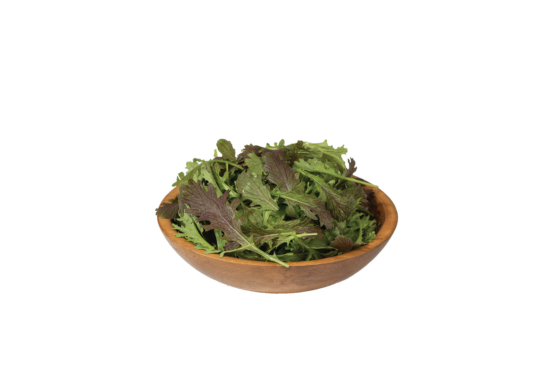 Red Splendor - Mustard Green Seed | Johnny's Selected Seeds
