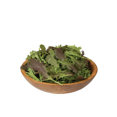 Red Splendor Red Splendor Mustard Greens