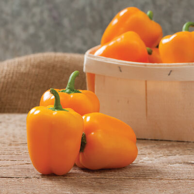 Eros Sweet Peppers