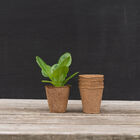 2 1/3" Round Fertil Pots – 160 Count Biodegradable Pots