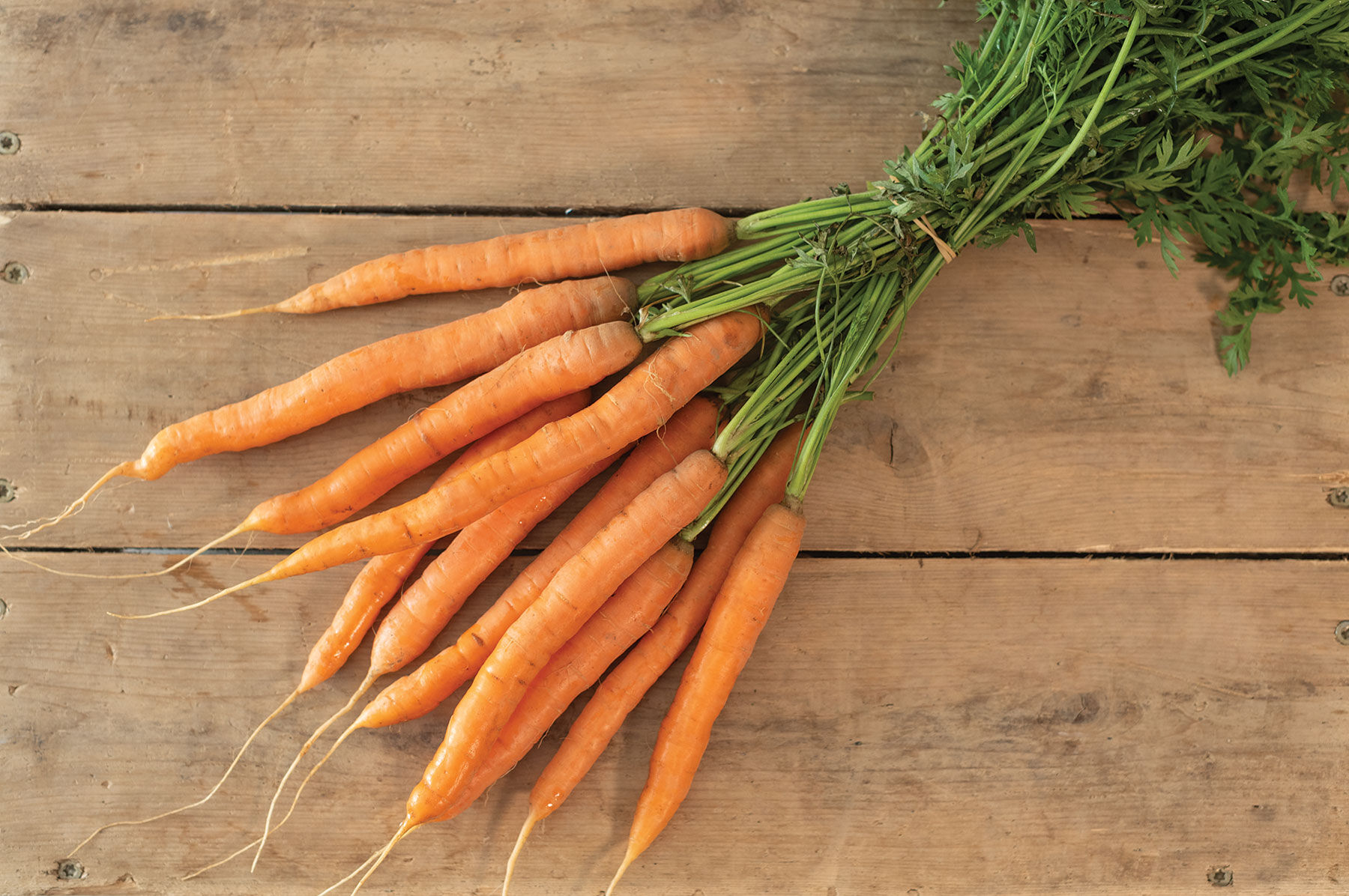 靴 Carrot Amazon.com | Crocs Carrots X Classic All Terrain Clogs Size