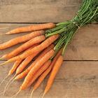 Adana Early Carrots