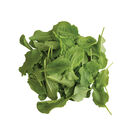 Sorrel Sorrel