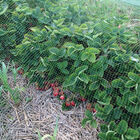 Ornex Bird Netting – 13' x 820' Crop Protection