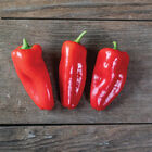 SVPS0897 Sweet Peppers