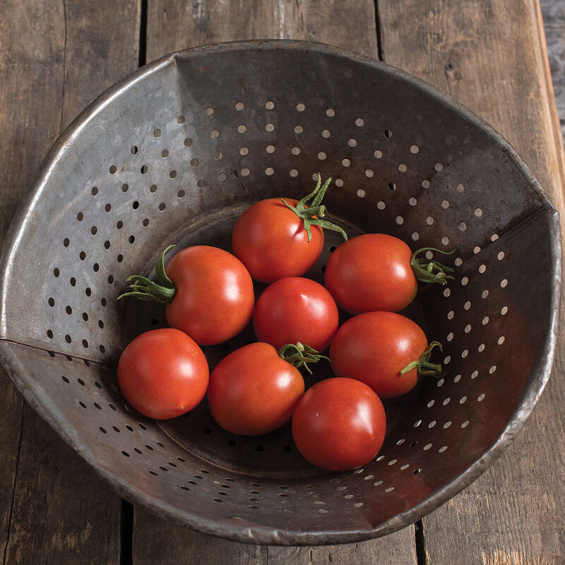 Glacier Heirloom Tomatoes