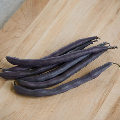 Royal Burgundy Bush Beans