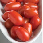 Five Star Grape Grape Tomatoes