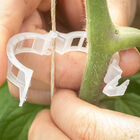 Tomato Trellis Clips – 9,250 Count Tomato Trellis Clips – 9,250 Count Clips