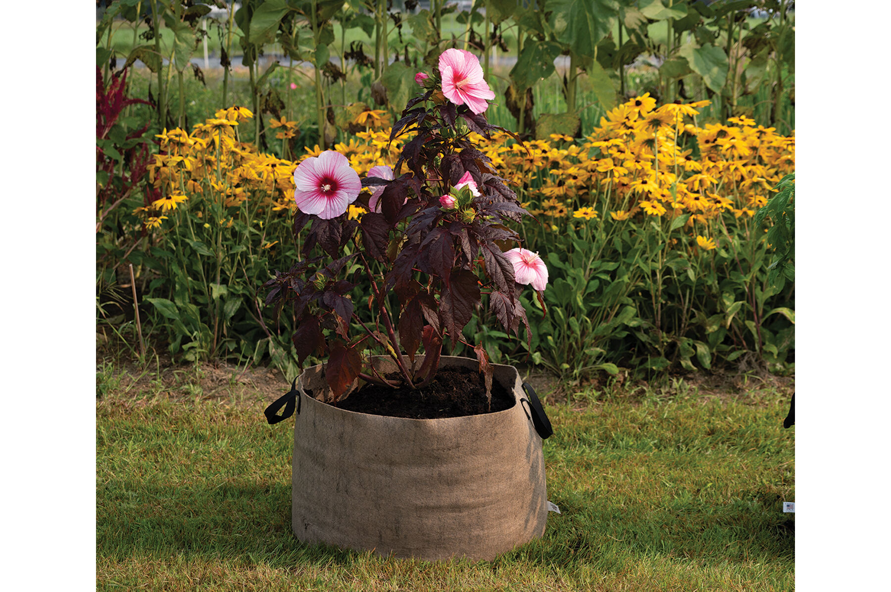 Smart Pot® Natural – 30 Gal. | Johnny's Selected Seeds