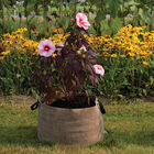 Smart Pot® Natural – 30 Gal. Grow Bags