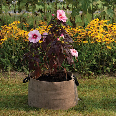 Smart Pot® Natural – 30 Gal. Grow Bags