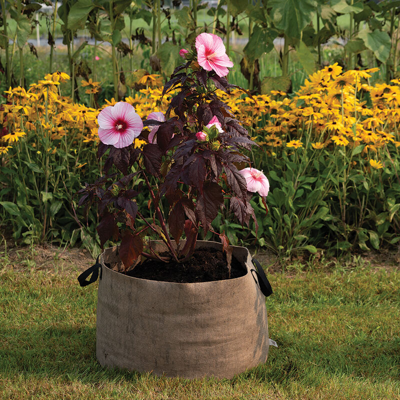 Smart Pot® Natural – 30 Gal. Grow Bags