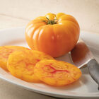 GinFiz Specialty Tomatoes