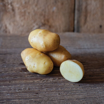 German Butterball Potatoes