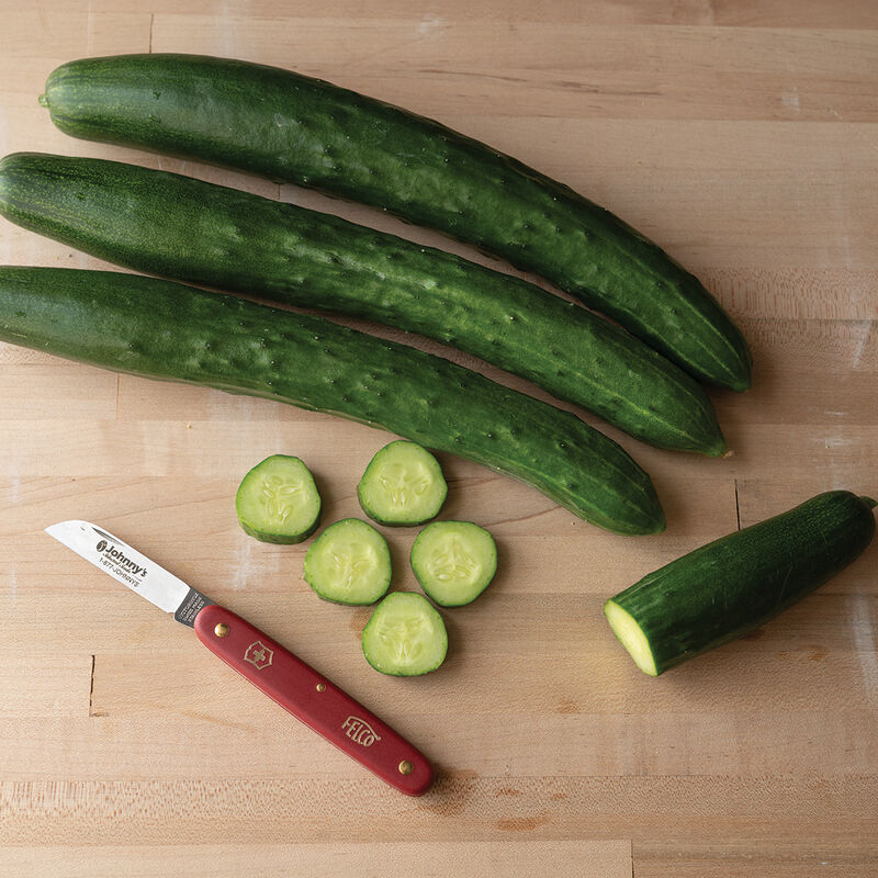 Tasty Jade Tasty Jade Specialty Cucumbers