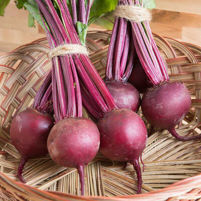 Boro Round Red Beets