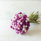 QIS™ Formula Mix Gomphrena (Globe Amaranth)