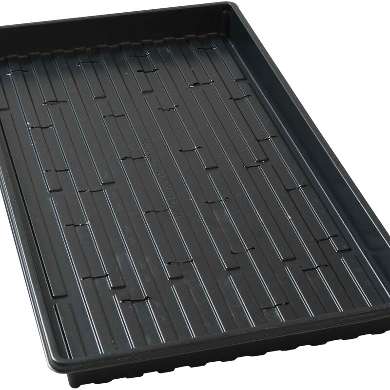Shallow Germination Trays – 5 Count Support Trays