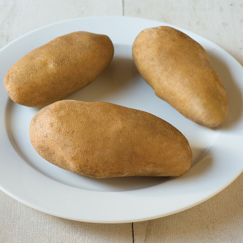 Caribou Russet Potatoes