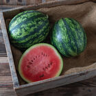 JuiceBox Diploid Watermelons