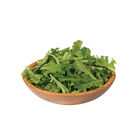 Clearwater Oakleaf Lettuce
