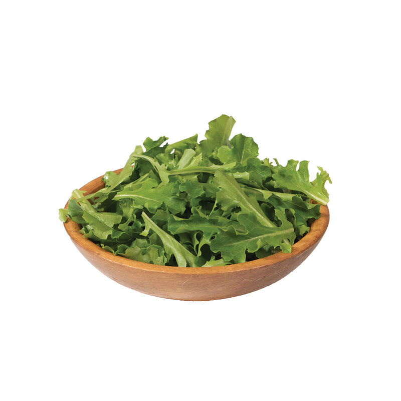 Clearwater Oakleaf Lettuce
