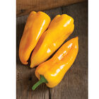 Escamillo Sweet Peppers