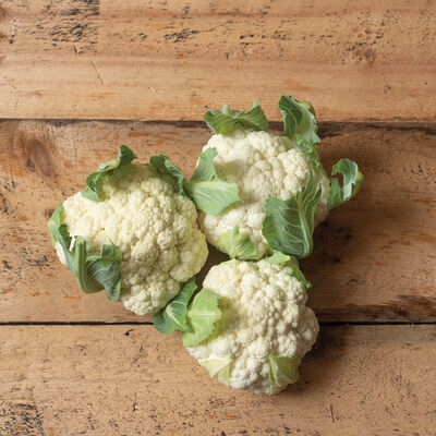 Twister Standard Cauliflower